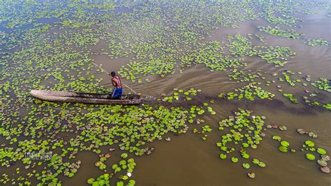 Lagoas de Cufada: Persistem as práticas nocivas ao ambiente