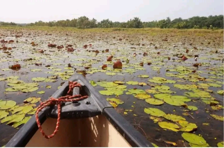 Dia de Lagos: ONU destaca Lagoas de Cufada na manutenção de ecossistema
