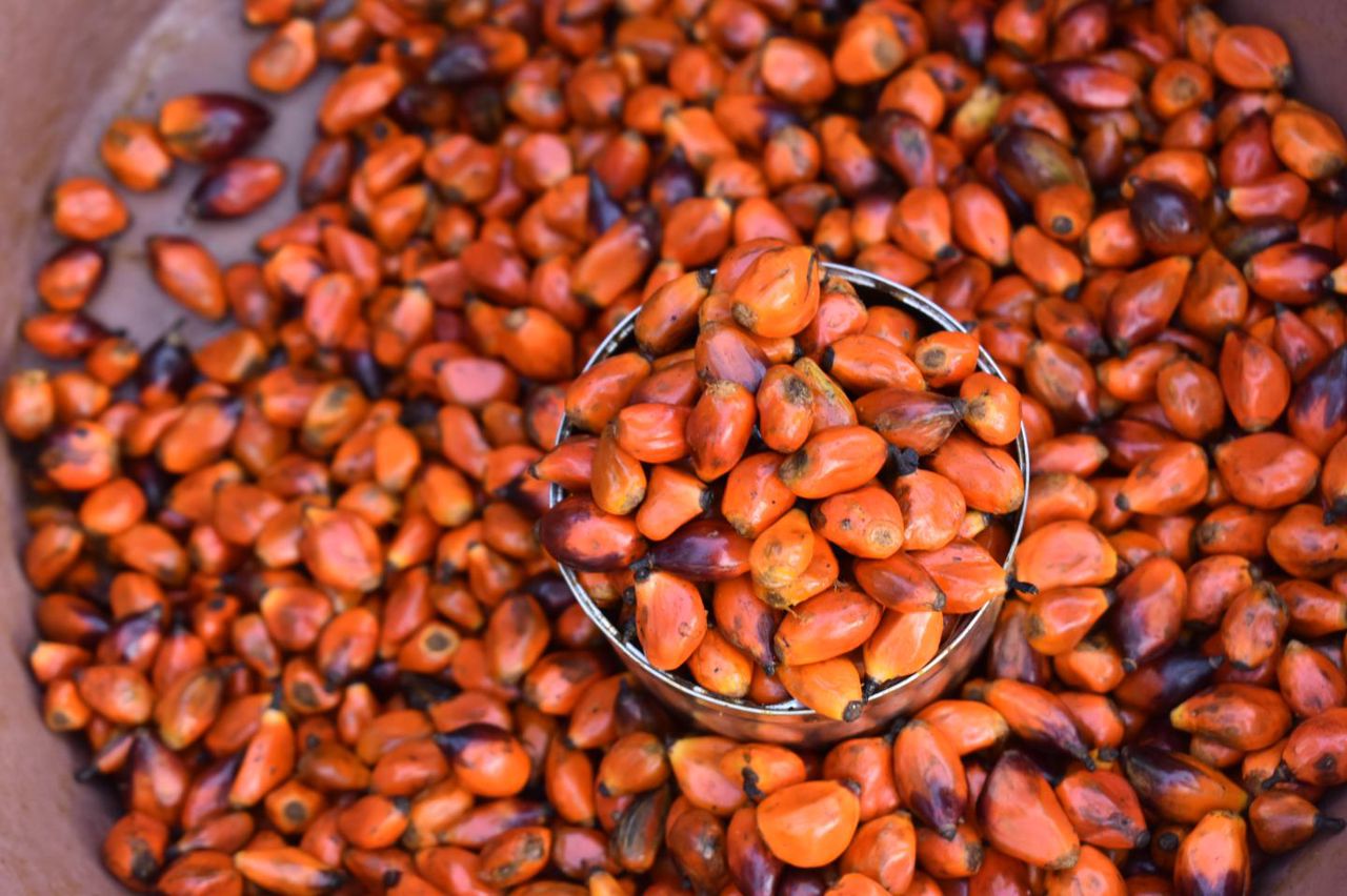 Guiné-Bissau: Governo elimina taxas  sobre produtos alimentares