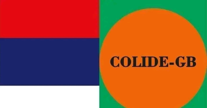 COLIDE-GB exige fim de perseguição e violência na Guiné-Bissau