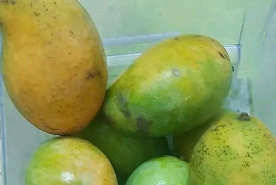 "Mango di faca" da Guiné-Bissau será protegida  pela OAPI