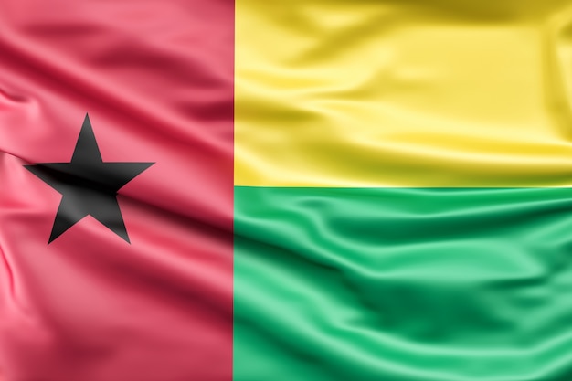 Guiné-Bissau lança estratégia nacional contra radicalismo com apoio da UE