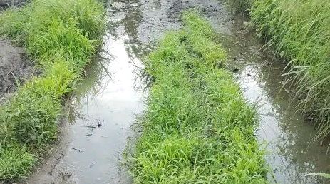 Ativista denuncia isolamento de Cubambol e Ganpara por falta de estrada